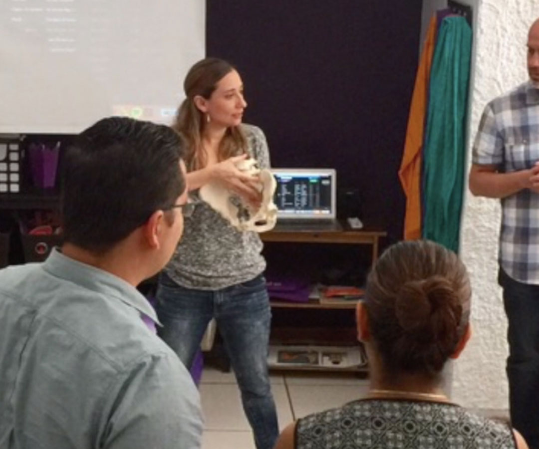 cursos-certificados-prenatales